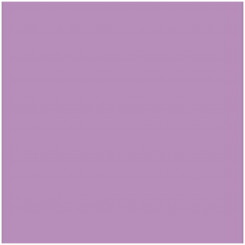 Открытка Iris Светло-лиловый 50 x 65 см (25 шт.)