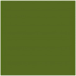 Открытка Ирис Милитари зеленый 50 х 65 см (25 шт.)