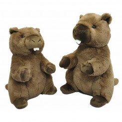 Kohev mänguasi Brune Marmot 26 cm
