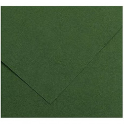 Cardboard Iris Amazon Green 50 x 65 cm