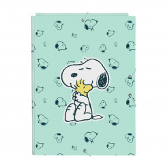 Kaust Snoopy Groovy Roheline A4