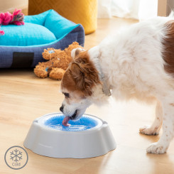 Охлаждающая миска для воды для домашних животных Freshy InnovaGoods