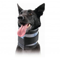 Cervical Collar for Dogs KVP Black (9-36 cm)