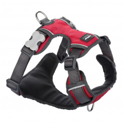 Dog Harness Red Dingo Padded Red Size M