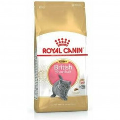 Cat food Royal Canin