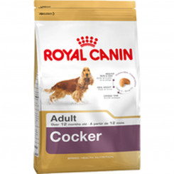 Fodder Royal Canin Cocker Adult 12 kg