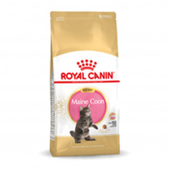 Cat food Royal Canin Maine Coon Kitten