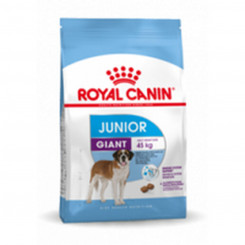 Fodder Royal Canin Giant Junior 15 kg