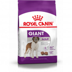 Fodder Royal Canin Giant Adult 15 kg