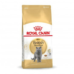 Cat food Royal Canin British Shorthair Adult Adult 4 Kg