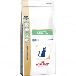 Cat food Royal Canin Dental Adult Rice Corn Birds 1,5 Kg