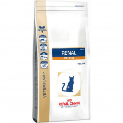 Cat food Royal Canin Renal Select Adult 4 Kg