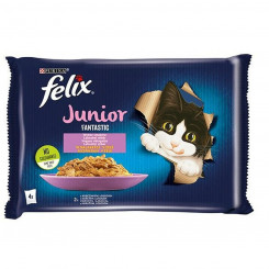 Cat food Purina Fantastic