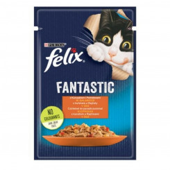 Cat food Purina Fanstastic