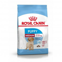 Fodder Royal Canin Medium Puppy Kid/Junior Corn Birds 4 Kg