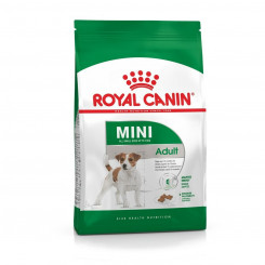 Fodder Royal Canin Mini Adult Adult 800 g