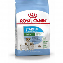 Sööt Royal Canin Starter Mother And Babydog Täiskasvanu Linnud 1 kg