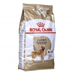 Fodder Royal Canin Golden Retriever Adult Adult Chicken 12 kg