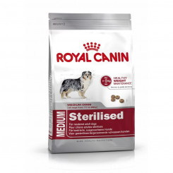 Fodder Royal Canin Medium Sterilised Adult Corn Birds 3 Kg 3,5 g