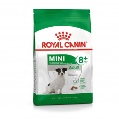 Fodder Royal Canin Mini Adult 8+ Senior Rice Vegetable Birds 8 kg