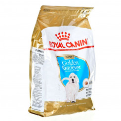 Sööt Royal Canin Golden Retriever Puppy Laps/Noor Linnud 3 Kg