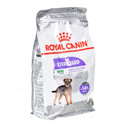 Sööt Royal Canin Mini Sterilised Täiskasvanu 1 kg