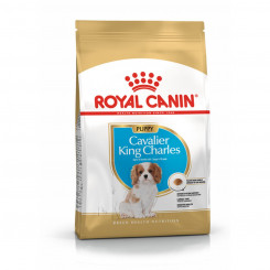 Фураж Royal Canin Cavalier King Charles Spaniel Puppy 1,5 Kg