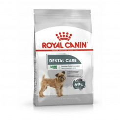 Fodder Royal Canin Mini Dental Care Adult 8 kg