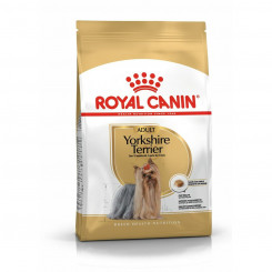 Fodder Royal Canin Yorkshire Terrier Adult Birds 3 Kg