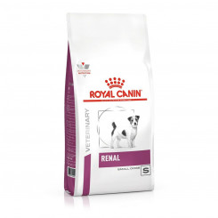 Fodder Royal Canin Renal Adult Rice 1,5 Kg