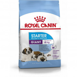 Fodder Royal Canin Giant Starter Mother & Babydog 15 kg