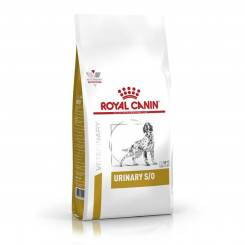 Sööt Royal Canin Urinary Täiskasvanu Linnud 13 kg
