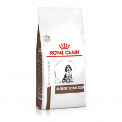 Sööt Royal Canin Gastrointestinal Laps/Noor Linnud 1 kg