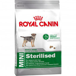 Sööt Royal Canin  MINI Sterilised Täiskasvanu 8 kg
