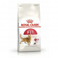 Коробки Royal Canin Feline Fit, полногрудые, 2 кг