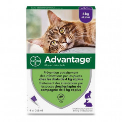 Antiparasitic Advantage Cat Rabbit +4 Kg 4 Units 0.8 ml