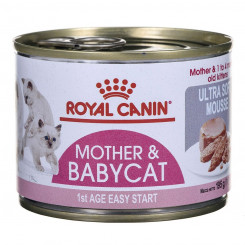 You crated Royal Can's Babycat Instinctive
