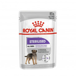 Margtoit Royal Canin Adult