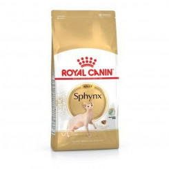 Kassitoit Royal Canin Sphynx Täiskasvanu Kana 2 Kg