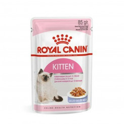Вы проверили куриное желе Royal Can's Kitten Jelly Chicken.