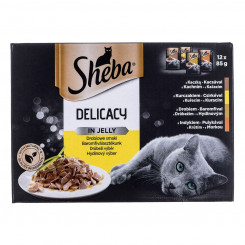 Kassitoit Sheba Delicacy in Jelly Kana Türgi Part Linnud