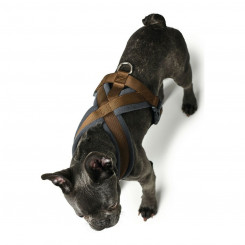 Dog harness Hunter London Comfort 48-56 cm Brown Size S/M