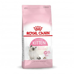 Boxed Royal Canin Kitten Linnud 2 Kg