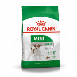 Sööt Royal Canin 172880 Täiskasvanu Kana 8 kg