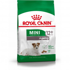 Sööt Royal Canin Mini Ageing 12+ Täiskasvanu Vanem Linnud 3,5 g