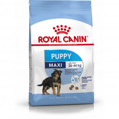Корм Royal Canin Maxi Puppy для детей и молодых птиц 4 кг