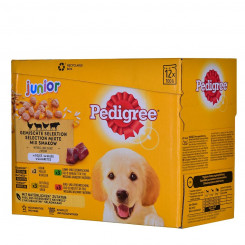 Wet food Pedigree unior Selection Chicken Veal Lamb Poultry 100 g 12 x 100 g