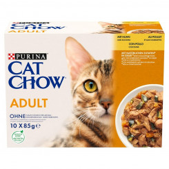 Cashier Purina Cat Chow Chicken Cabbage
