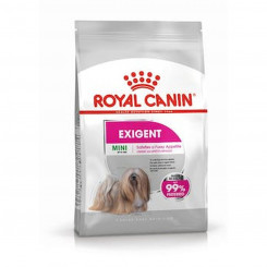 Sööt Royal Canin Mini Exigent Täiskasvanu Linnud 3 Kg