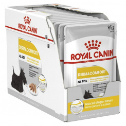 Märgtoit Royal Canin Dermacomfort Meat 12 x 85 g